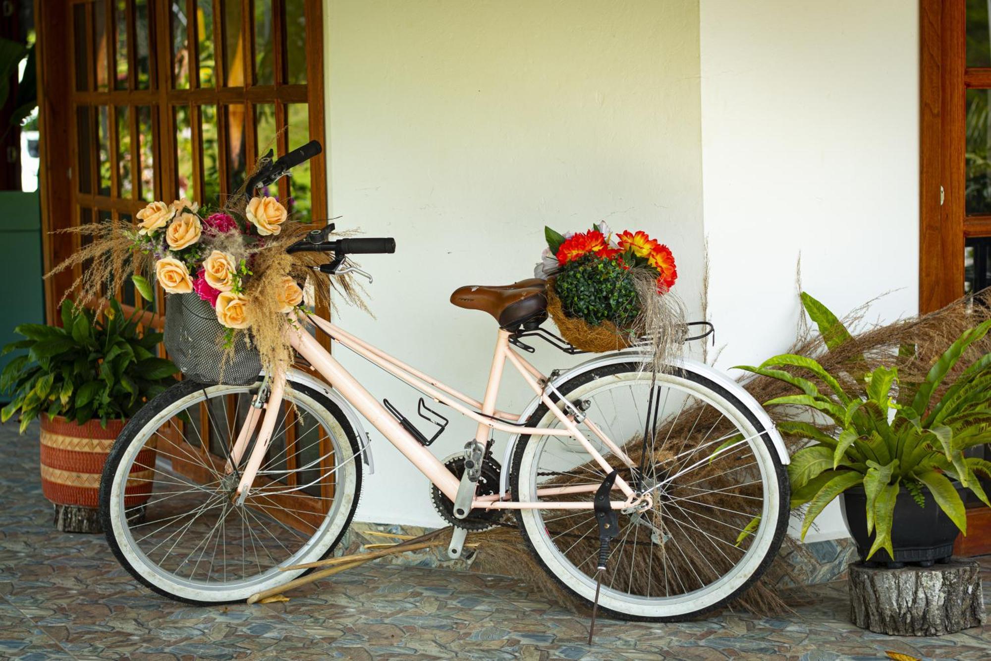 Hotel Campestre La Francesina Betania Εξωτερικό φωτογραφία