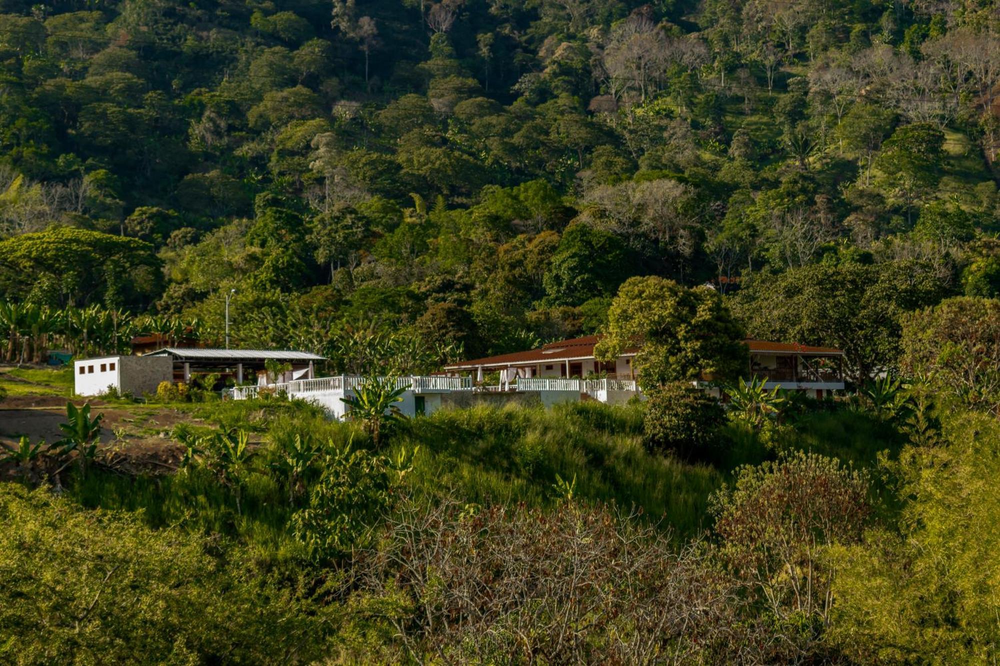 Hotel Campestre La Francesina Betania Εξωτερικό φωτογραφία